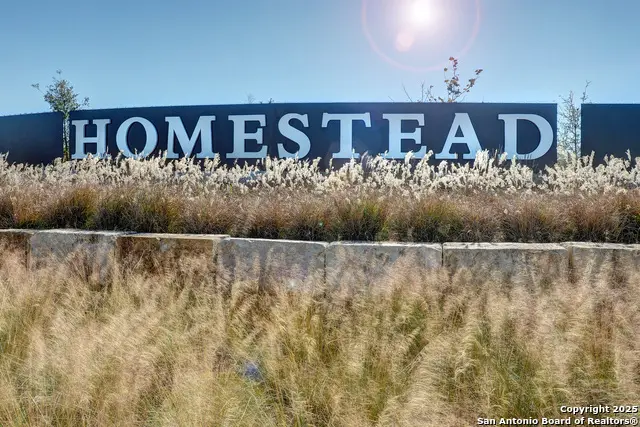 4757 Terrel Point, Schertz, TX 78108 - Image #3