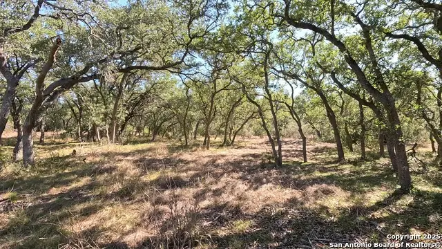34672 Ansley Ridge, Bulverde, TX 78163 - Image #1