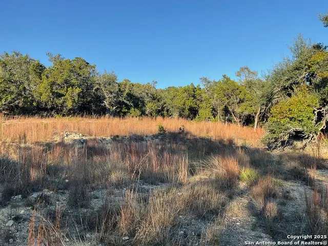 113 Champion Way, Spring Branch, TX 78070 - Image #3