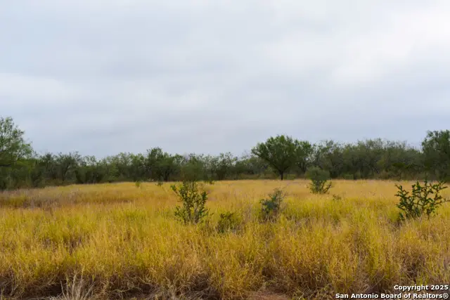 000 Jefferies Road, Laredo, TX 78045 - Image #3