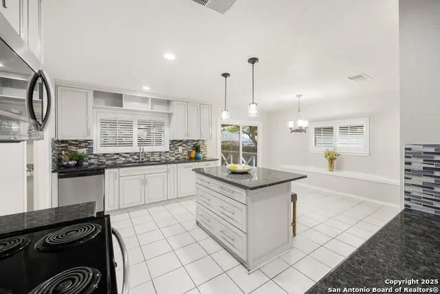 11018 Scenic Pt., San Antonio, TX 78254 - Image #2