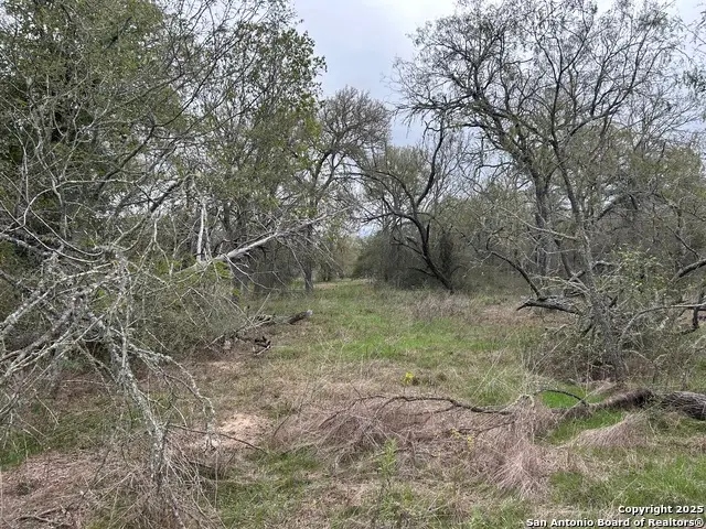 141 N Eskew Lane, Cedar Creek, TX 78612 - Image #2