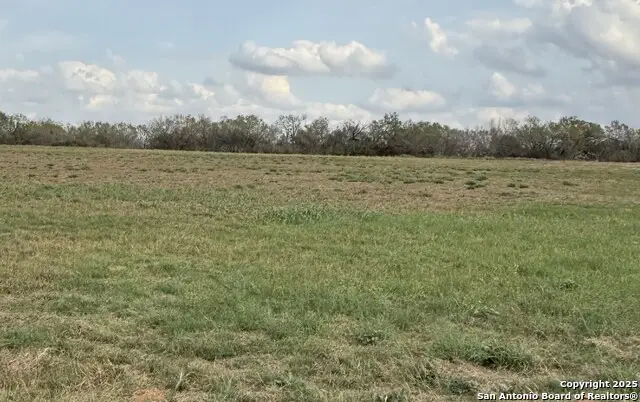13208 Adkins Saint Hedwig Rd, Saint Hedwig, TX 78152 - Image #2