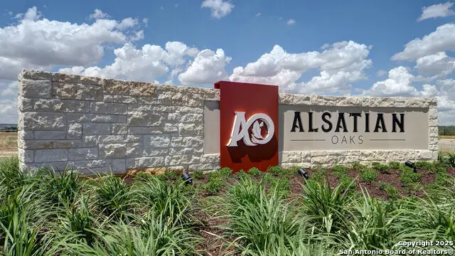 333 Lacey Oak, Castroville, TX 78009 - Image #3