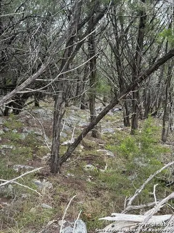 8115 Grand Stone, San Antonio, TX 78266 - Image #3