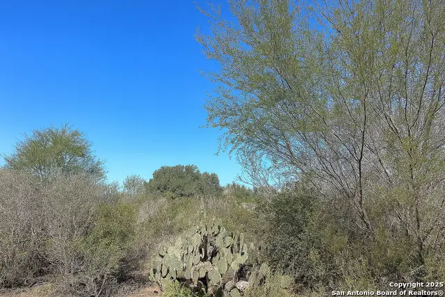 0 Cr 326, Beeville, TX 78102 - Image #1