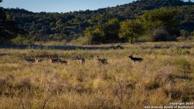 7702 Ranch Road 965, Llano, TX 78643 - #3