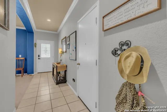 1933 Spotted Owl, New Braunfels, TX 78130 - Image #3