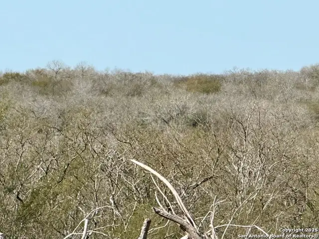 0 Cr 148, Kenedy, TX 78119 - Image #1