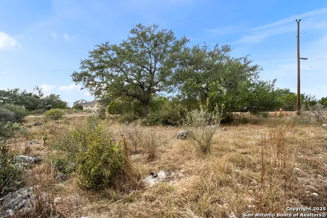 137 Red Tail Cv, Spring Branch, TX 78070 - Image #2