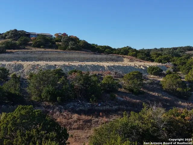 466 Majestic Oak, Blanco, TX 78606 - Image #1