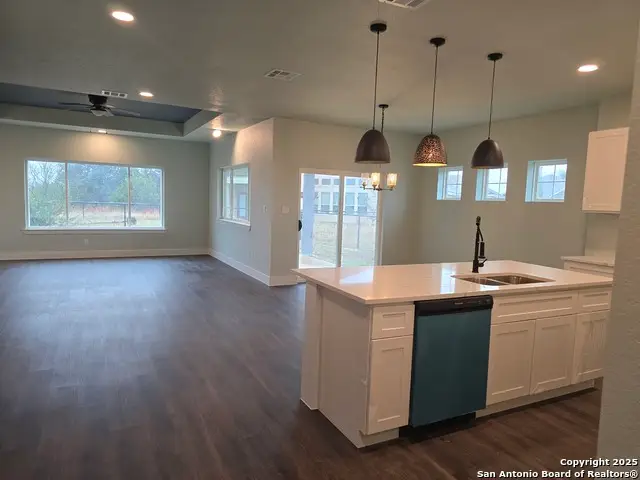 206 Lewis Todd, Blanco, TX 78606 - Image #3