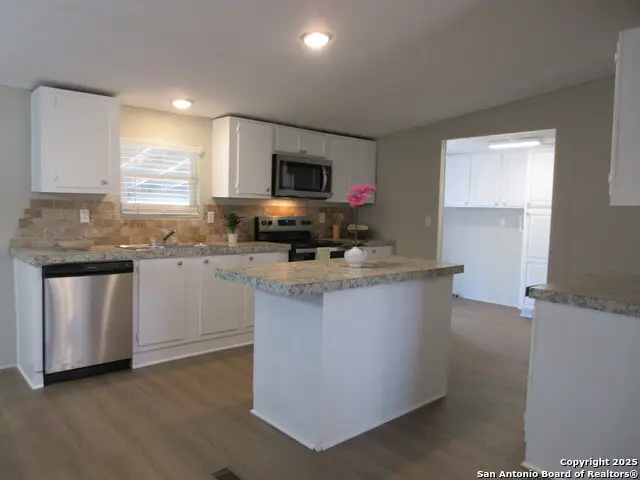 230 County Road 5635, Castroville, TX 78009 - Image #3