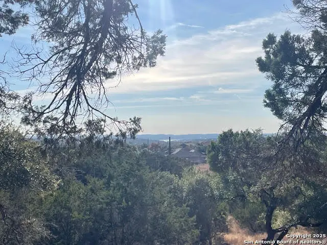 426 Coneflower Dr, Spring Branch, TX 78070 - Image #1