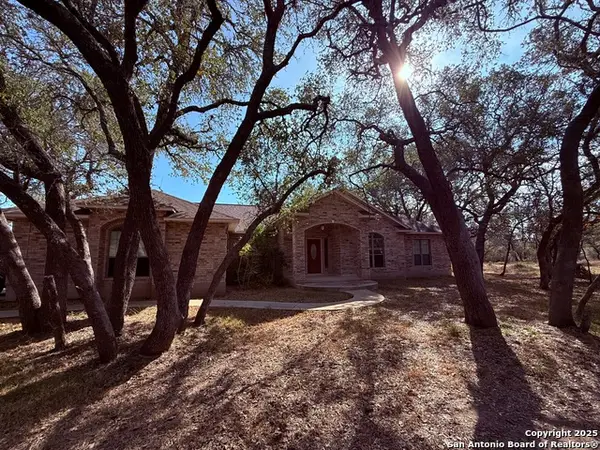 250 Palomino, Natalia, TX 78059