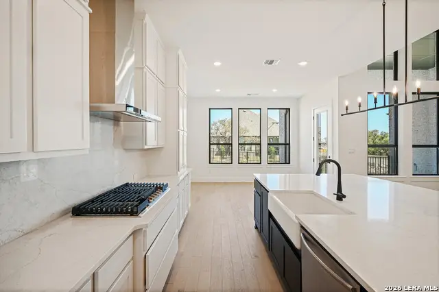 104 Big Muhly Pass, San Marcos, TX 78666 - #3