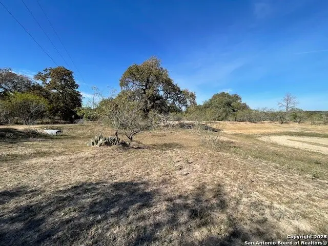 1384 County Road 326, Adkins, TX 78101 - Image #3