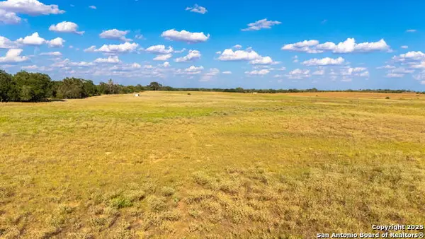 43.79 ACRES Bynum Road, Floresville, TX 78114