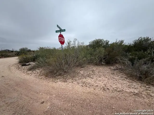 437 RR 7150-B Camino Sierra, Laredo, TX 78041 - Image #2