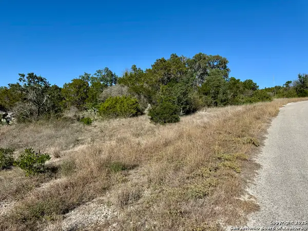 LOT 189 County Road 2816, Mico, TX 78056