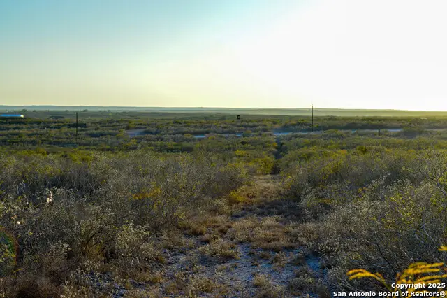 TBD Live Oak Spur, George West, TX 78022 - Image #1