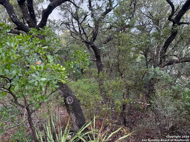 19011 Snuggle Cliff, San Antonio, TX 78255 - Image #2