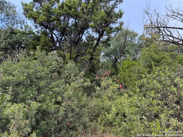 19011 Snuggle Cliff, San Antonio, TX 78255 - Image #3