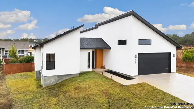 217 Peter Kleid, Blanco, TX 78606 - Image #1