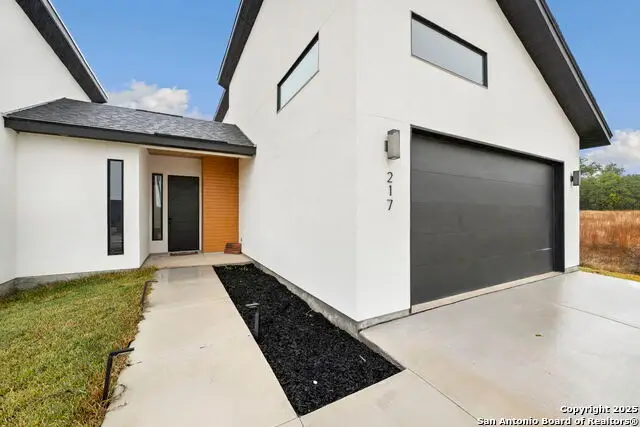 217 Peter Kleid, Blanco, TX 78606 - Image #2