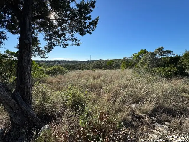 LOT 31 W Cr 2801, Mico, TX 78056 - Image #1