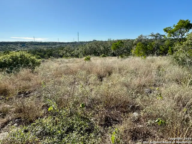 LOT 31 W Cr 2801, Mico, TX 78056 - Image #3