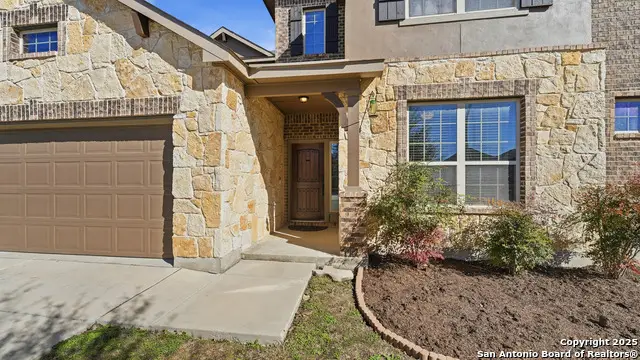 335 Snow Goose, New Braunfels, TX 78130 - #2