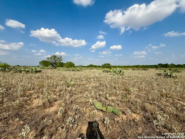 TBD LOT 61 E Cr 1647, Moore, TX 78057 - #3