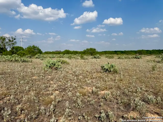 TBD LOT 62 E Cr 1647, Moore, TX 78057 - #1