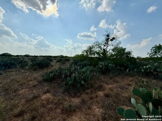 TBD LOT 62 E Cr 1647, Moore, TX 78057 - #2