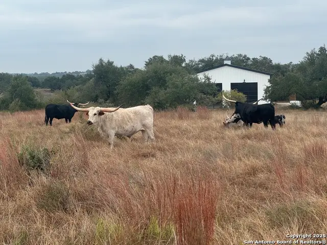 650 Windmill Ridge, Blanco, TX 78606 - Image #3