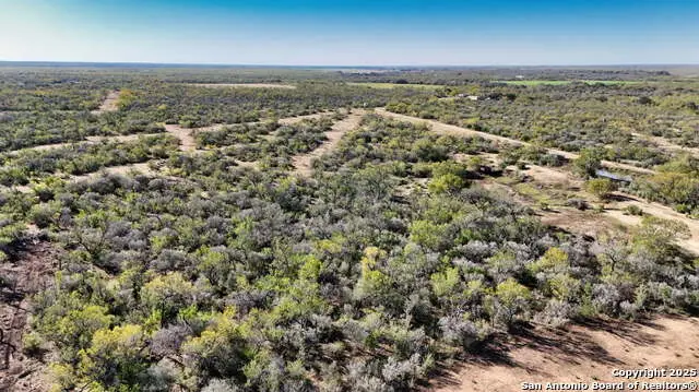 0 County Road 733, Moore, TX 78057 - Image #3