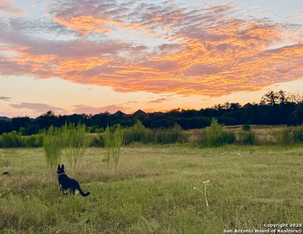 1400 Knoll Schwope, Spring Branch, TX 78070 - Image #1