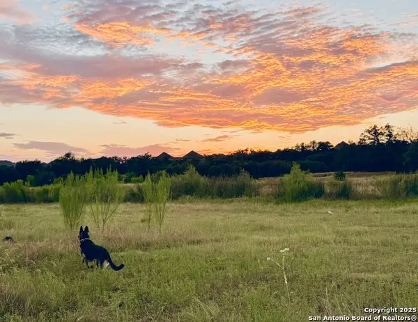 1400 Knoll Schwope, Spring Branch, TX 78070