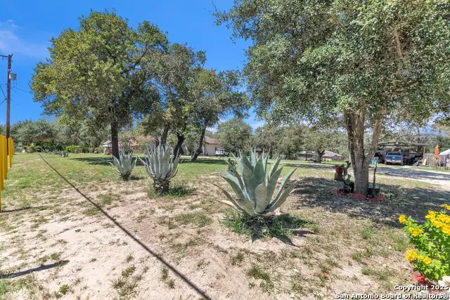 23011 White Hickory, Elmendorf, TX 78112 - Image #3