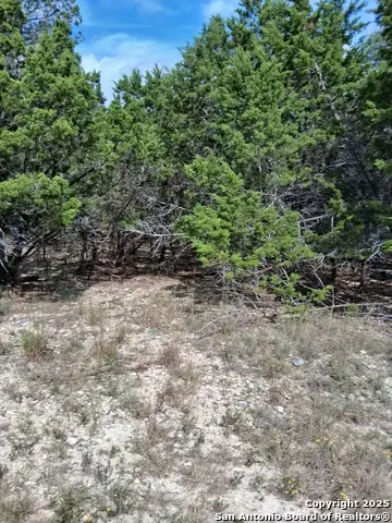 1031 Eastview, Canyon Lake, TX 78133 - Image #3