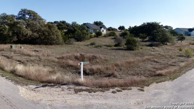 215 George Dolson, Blanco, TX 78606 - Image #1