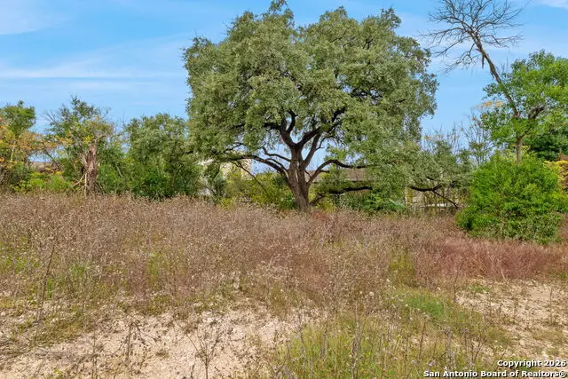 8226 Country Lane Court, San Antonio, TX 78209 - Image #1