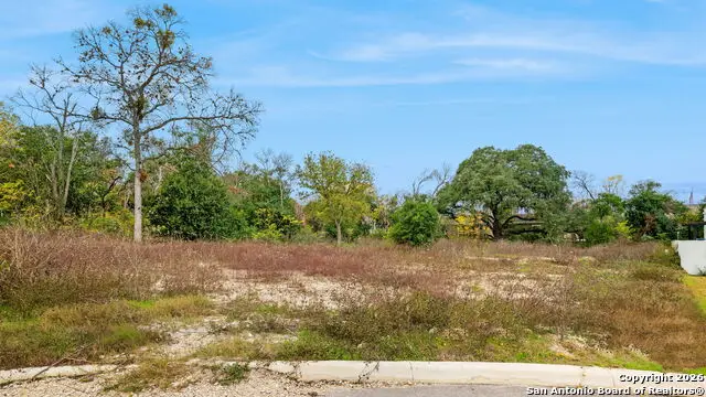 8226 Country Lane Court, San Antonio, TX 78209 - Image #2