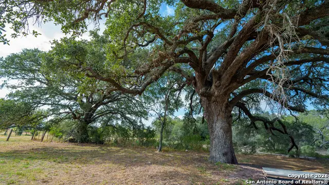 3638 Fm 2579, Floresville, TX 78114 - Image #1