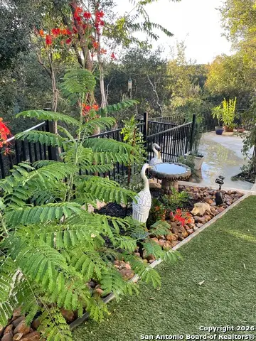 29607 Terra Bella, Boerne, TX 78015 - Image #3