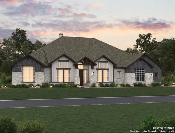 10679 Chestnut Warbler, New Braunfels, TX 78132