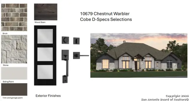 10679 Chestnut Warbler, New Braunfels, TX 78132 - Image #3