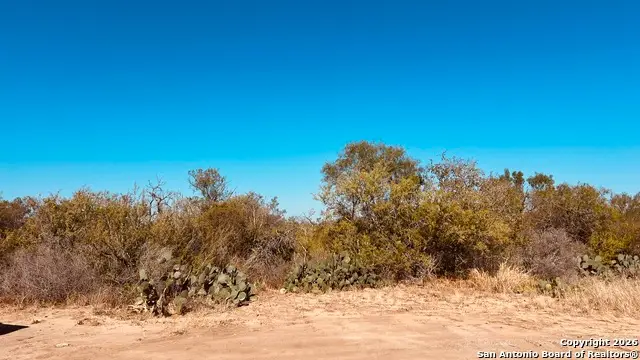 NA Kimberly Lane Lot 55, Poteet, TX 78065 - Image #1