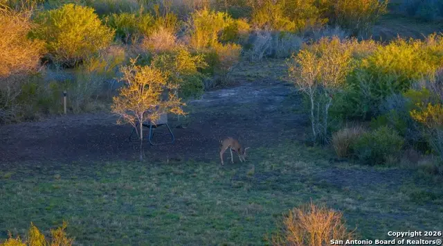 000 W Air Base Rd, Goliad, TX 77963 - Image #3